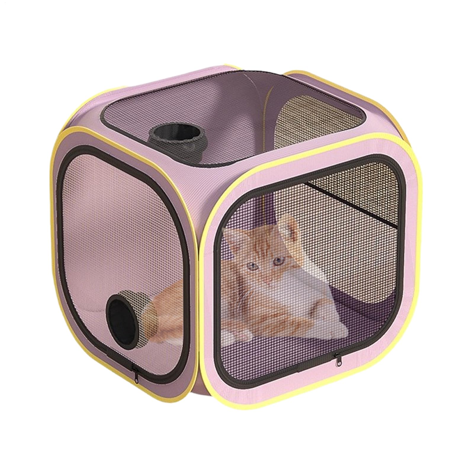 Amazon | 猫用ドライヤーボックス - ペットグルーミングハウス